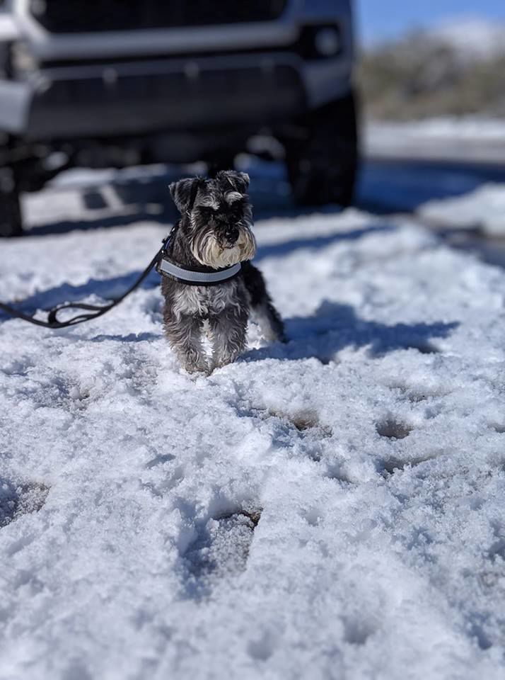 Snow in ÃÛèÖÖ±²¥